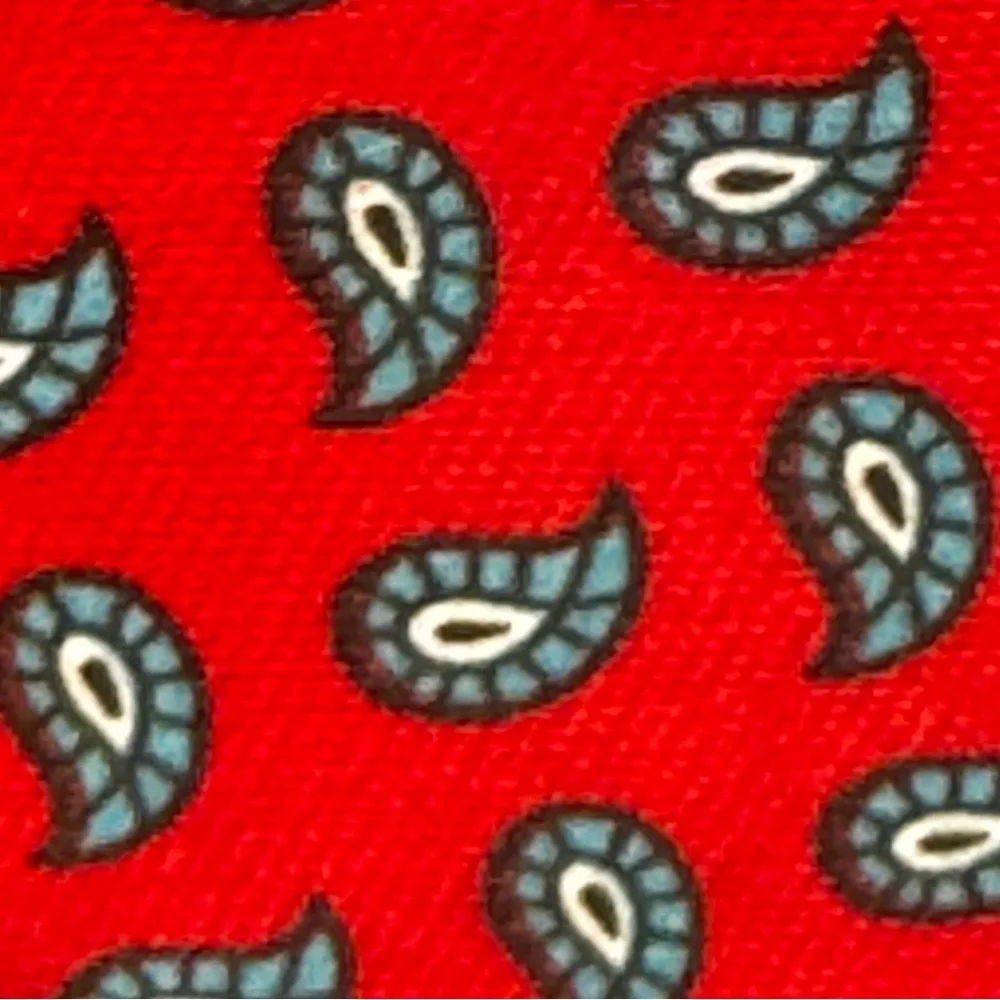 Pre-Loved Italian Pure Silk Red w/Blue Paisley Print Men's Neck Tie